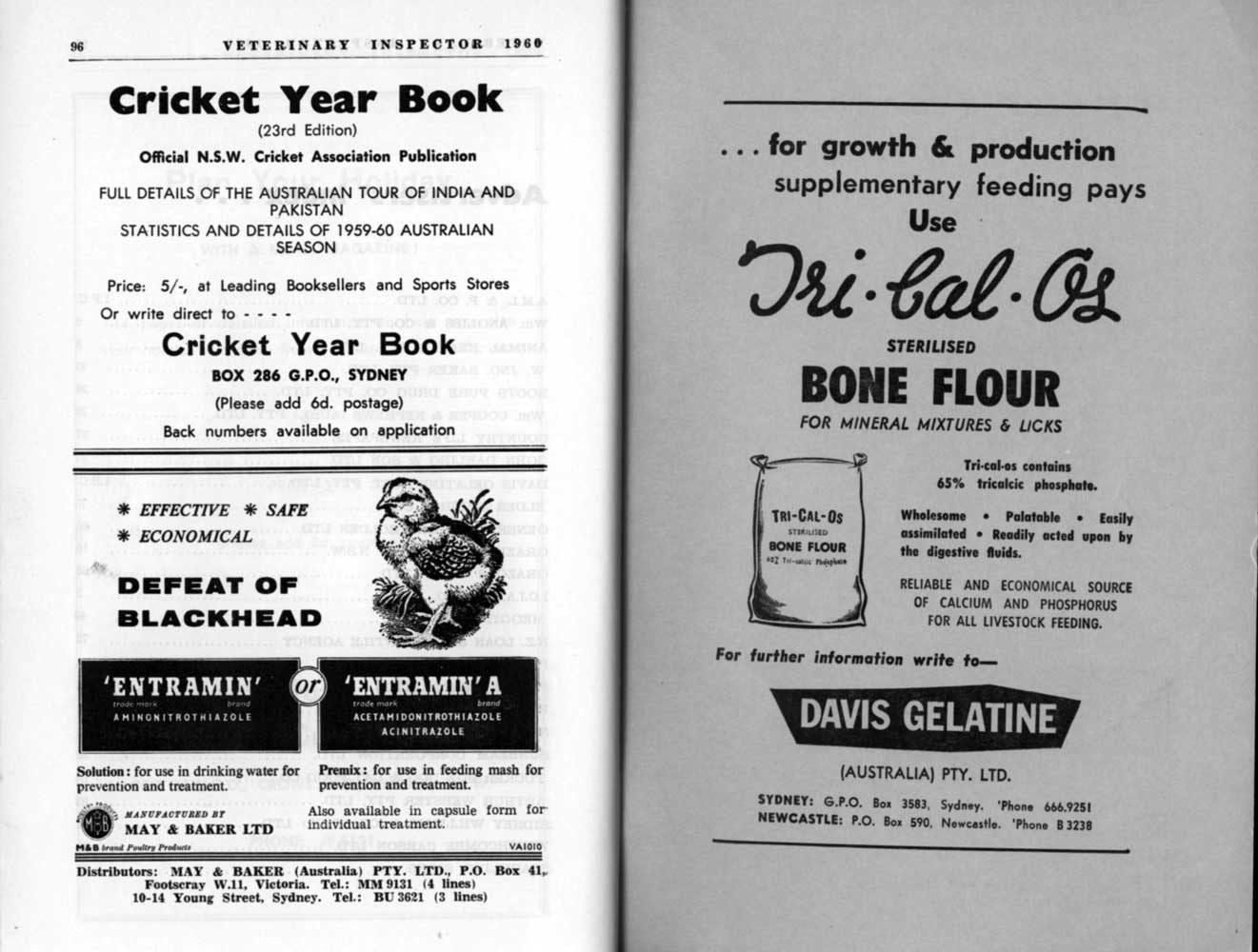1960 Page 96